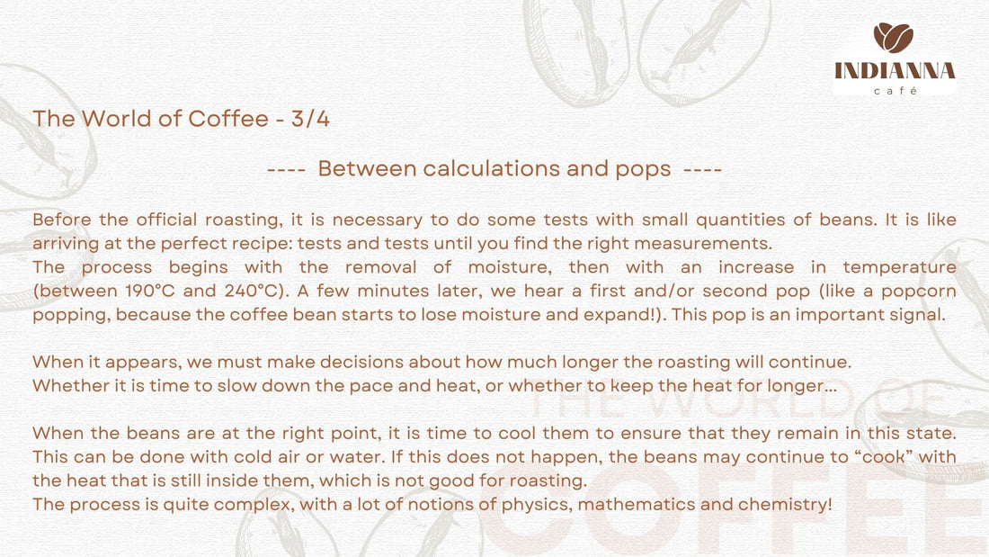 The World of Coffee - 3/4